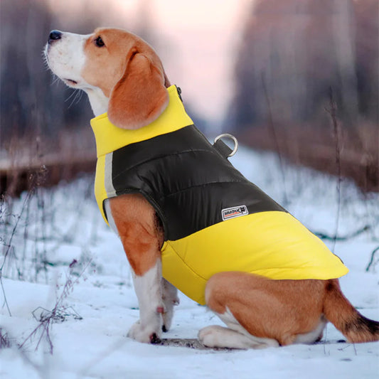 Warm Winter Dog Jacket